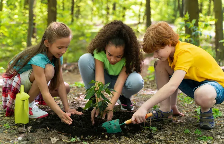 Khám phá thiên nhiên như thế nào chơi ngoài trời và học tập